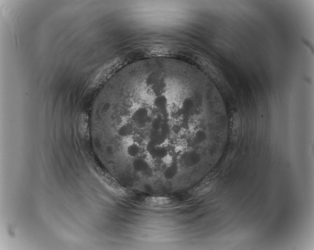 X0000102800361200808181206