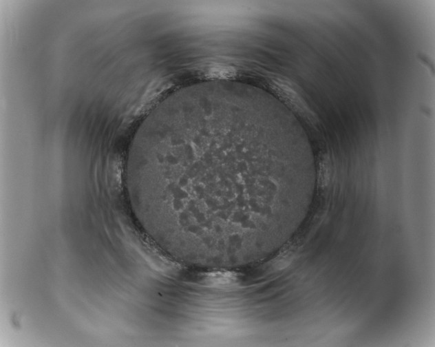 X0000102800363200808181206