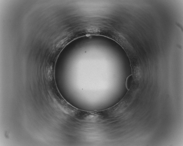 X0000102800364200808181206