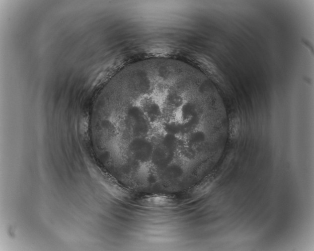 X0000102800365200808181206