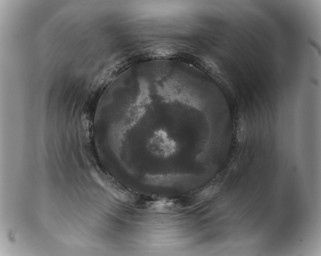X0000102800366200808181206