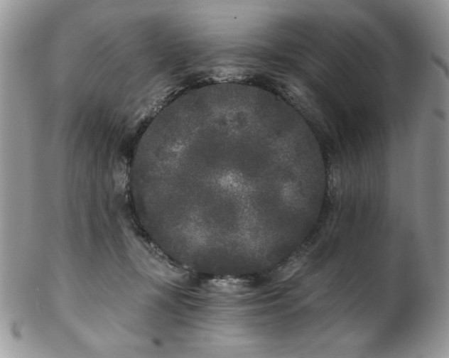 X0000102800367200808181206