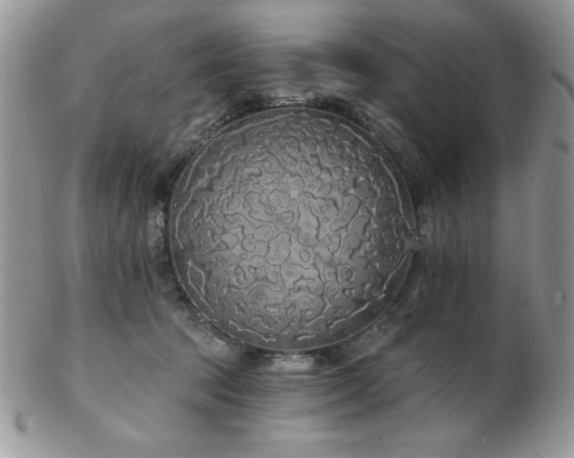 X0000102800369200808181206