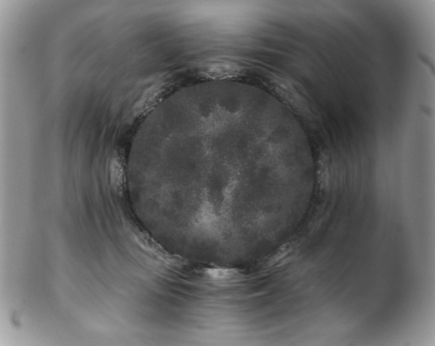 X0000102800371200808181206