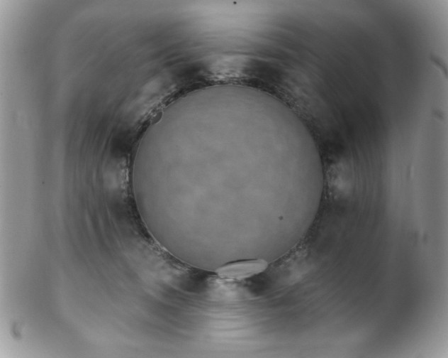 X0000102800372200808181206