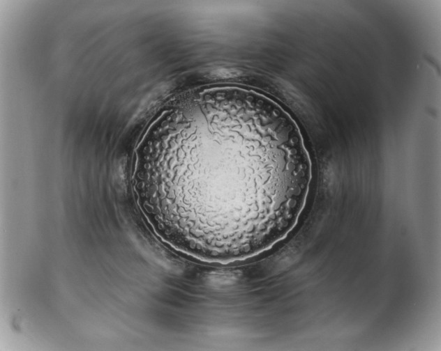 X0000102800373200808181206