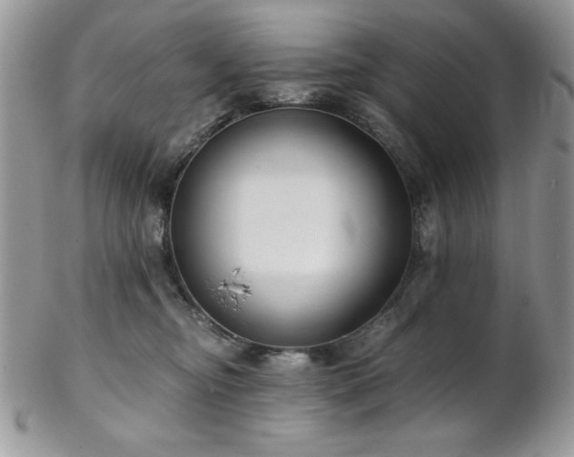 X0000102800374200808181206