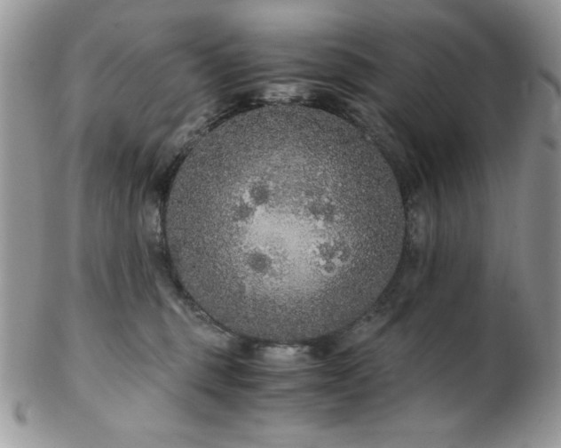 X0000102800375200808181206