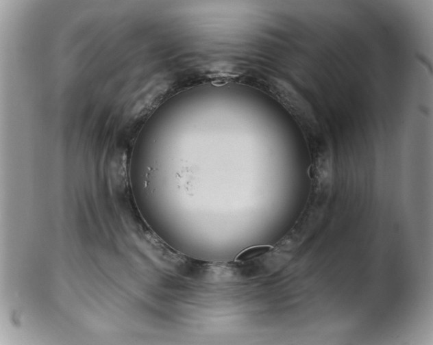 X0000102800376200808181206