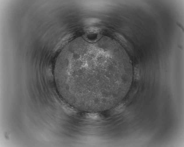 X0000102800377200808181206