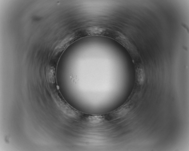 X0000102800378200808181206