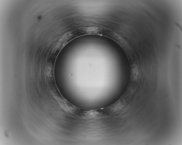 X0000102800379200808181206