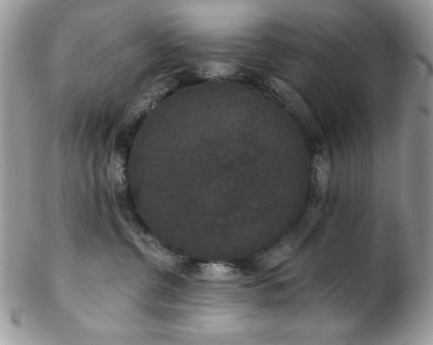 X0000102800380200808181206