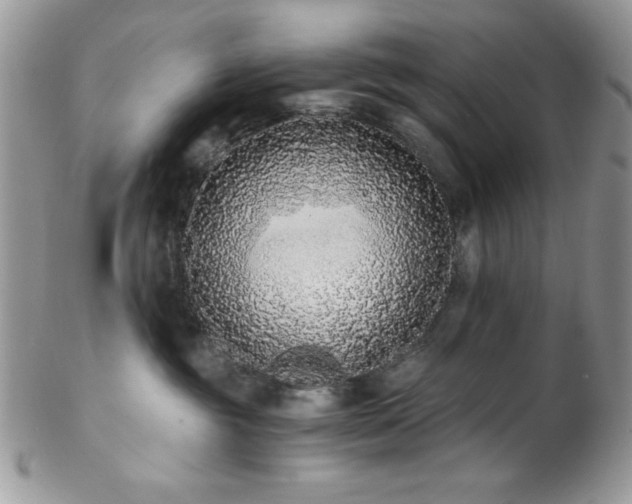 X0000102800381200808181206