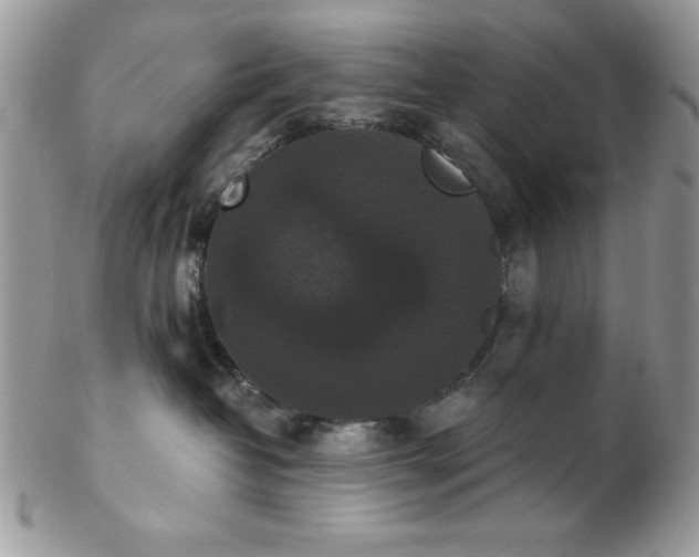 X0000102800382200808181206