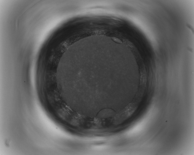 X0000102800383200808181206