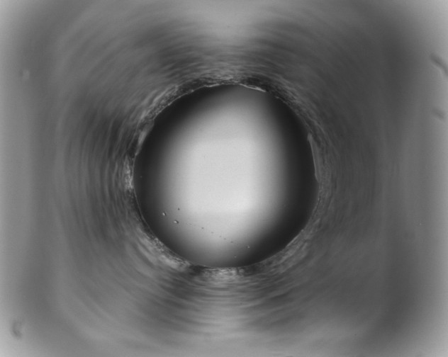 X0000102800384200808181206