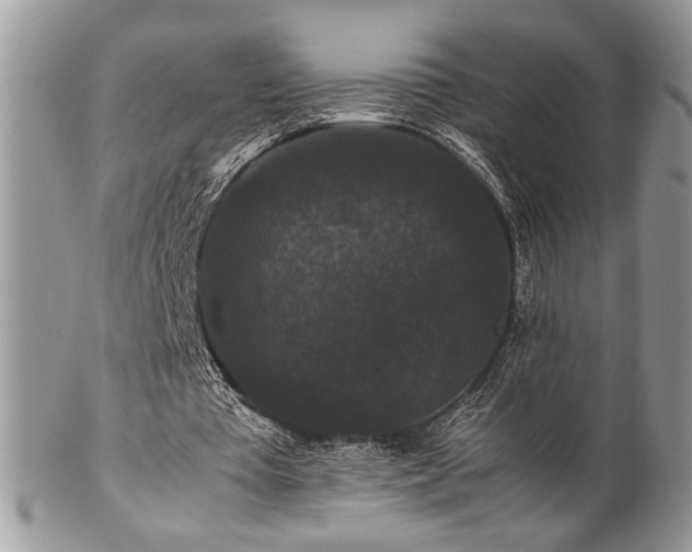 X0000102800385200808181205