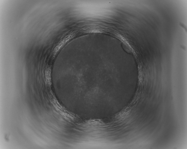 X0000102800386200808181205
