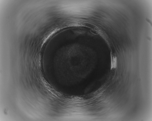 X0000102800387200808181205