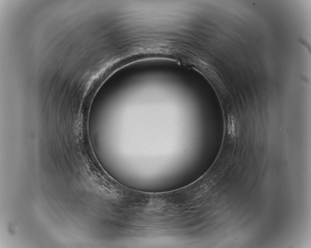 X0000102800388200808181205