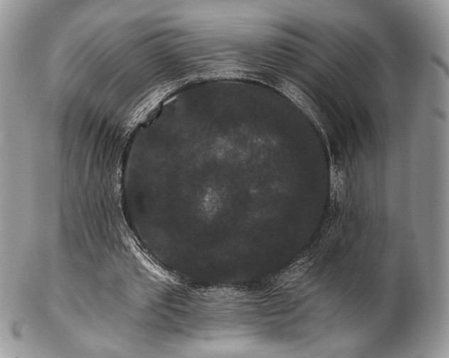 X0000102800389200808181205