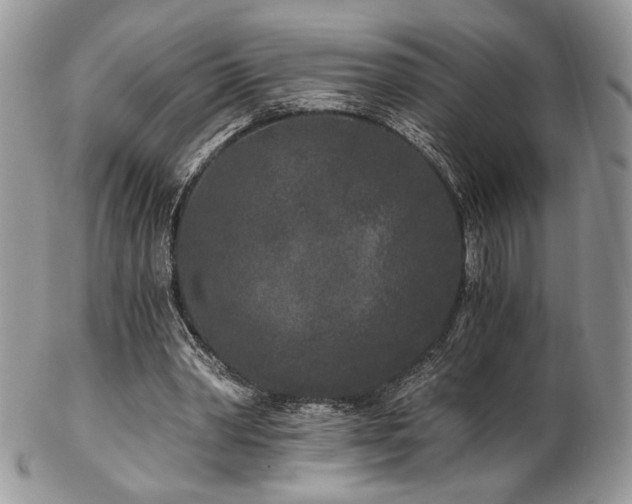 X0000102800390200808181205