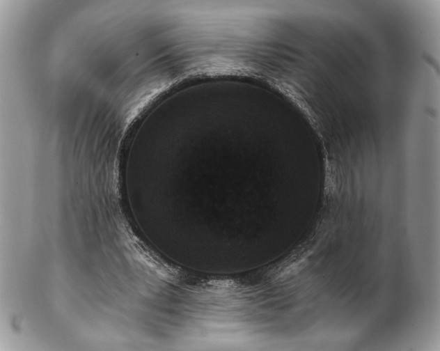 X0000102800391200808181205