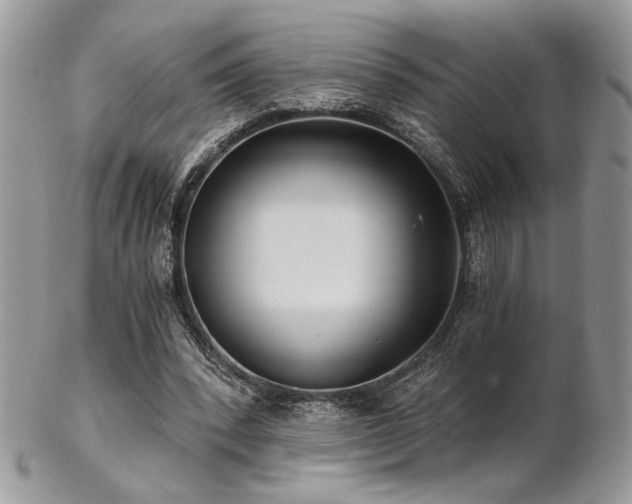 X0000102800392200808181205
