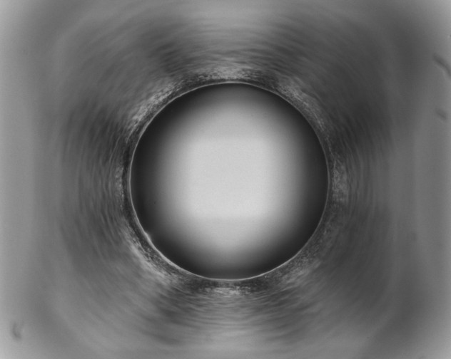 X0000102800394200808181205