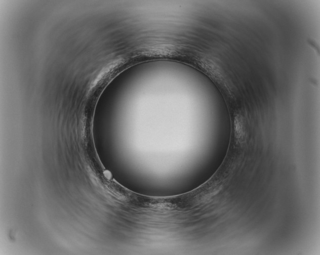 X0000102800396200808181205