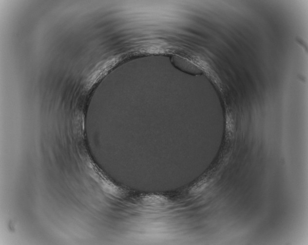 X0000102800397200808181205