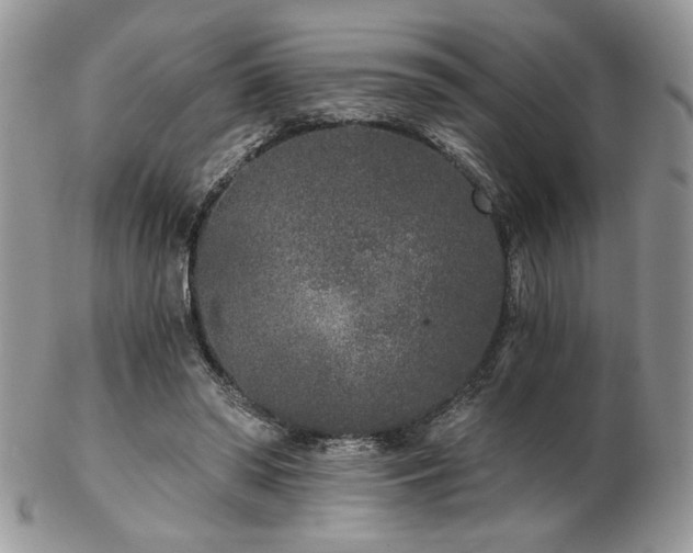 X0000102800398200808181205