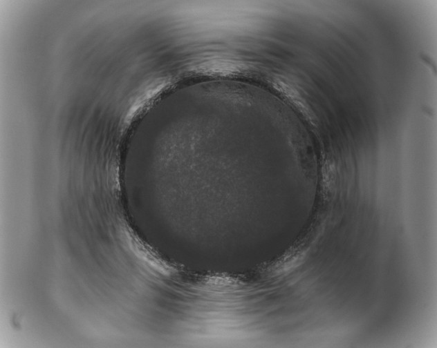 X0000102800399200808181205