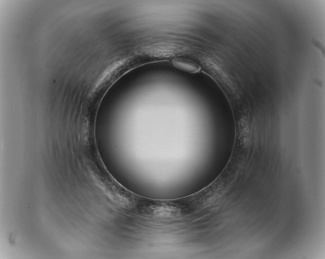 X0000102800400200808181205