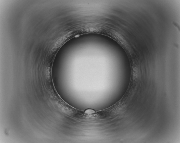 X0000102800401200808181205