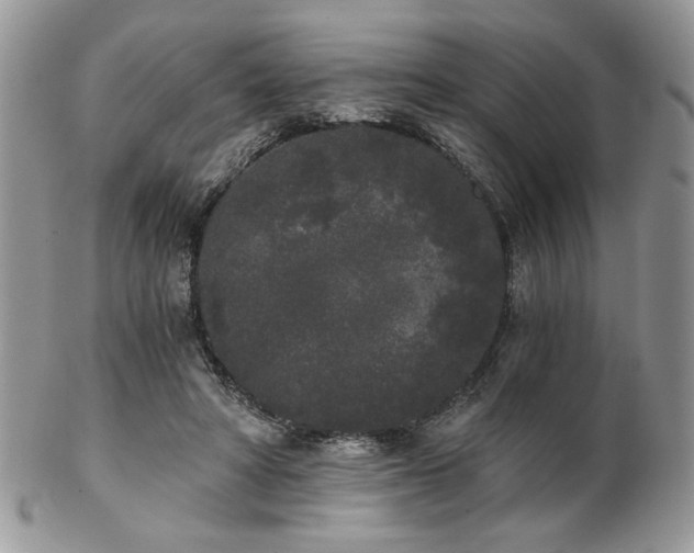 X0000102800402200808181205