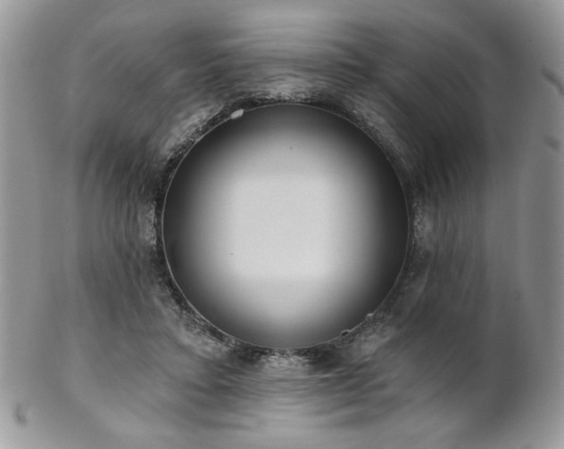 X0000102800403200808181205