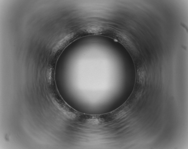 X0000102800404200808181205