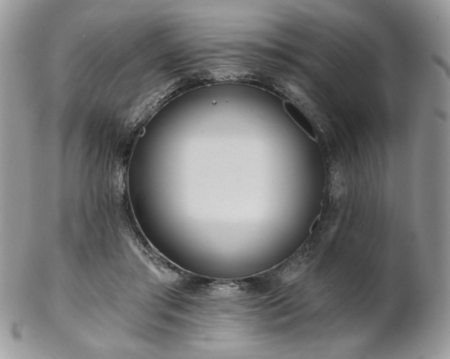 X0000102800405200808181205