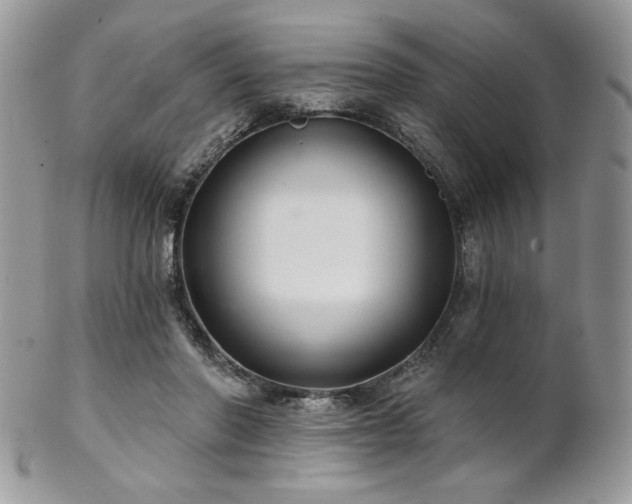 X0000102800406200808181205
