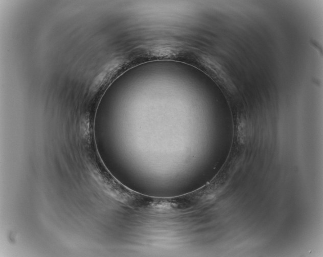 X0000102800407200808181205