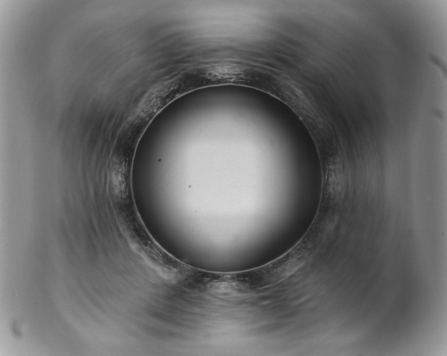 X0000102800408200808181205