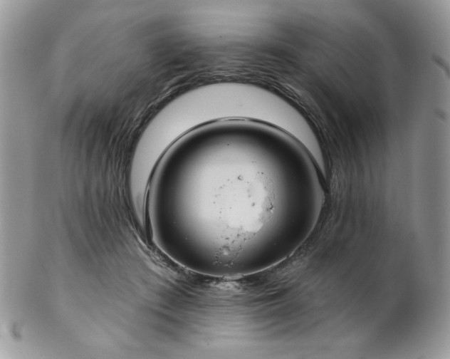 X0000102800409200808181205