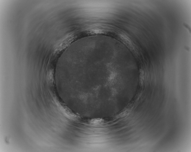 X0000102800410200808181205