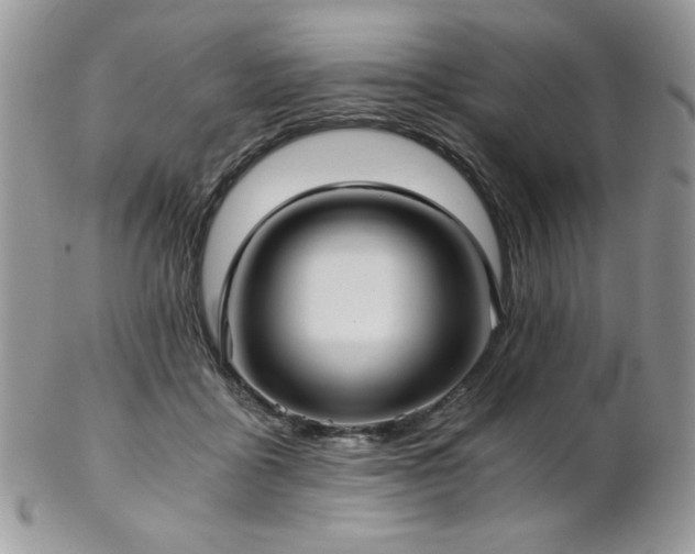 X0000102800411200808181205