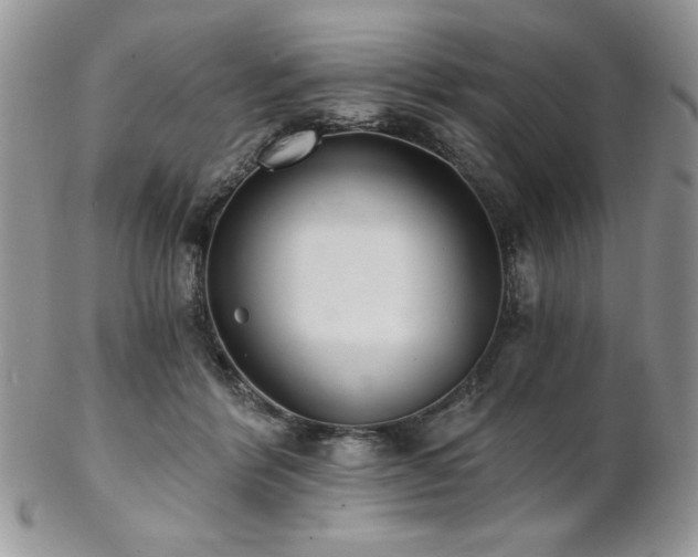 X0000102800412200808181205
