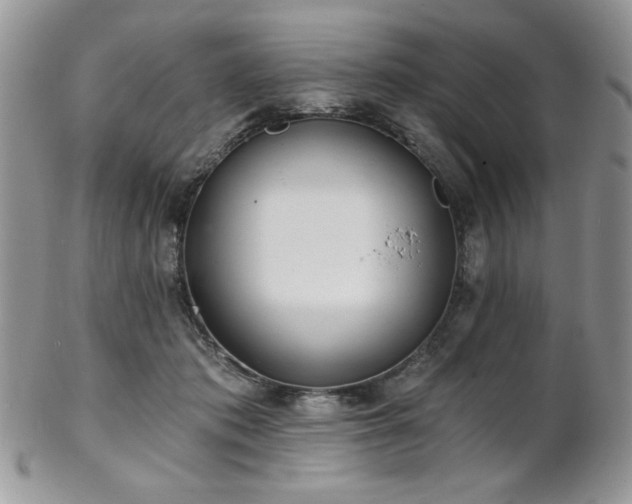 X0000102800413200808181205