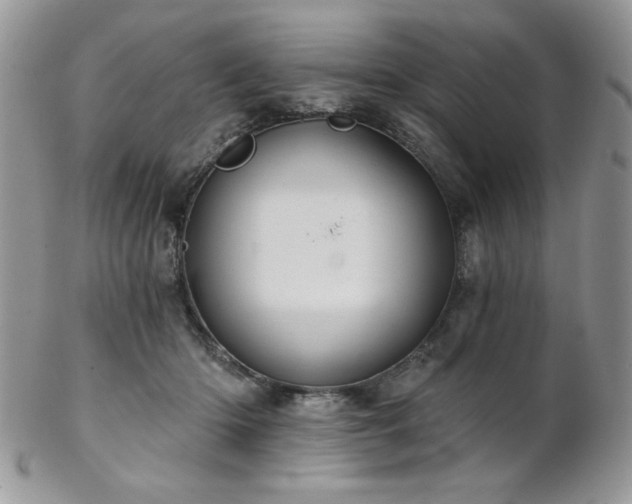 X0000102800414200808181205