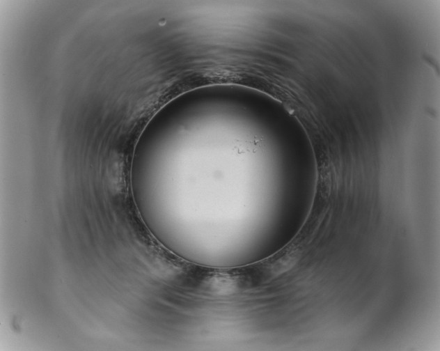 X0000102800416200808181205